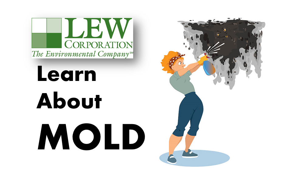 Mold